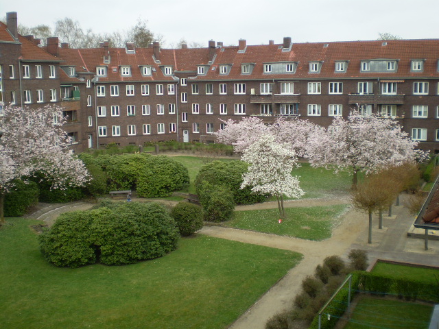 Wohnungsangebot - Photo 3